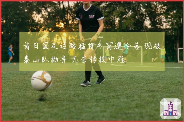 昔日国足边路猛将冬窗遭冷落 现被泰山队抛弃 无奈转投中冠