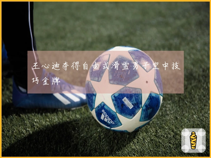 王心迪夺得自由式滑雪男子空中技巧金牌