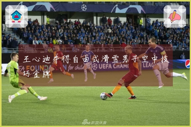 王心迪夺得自由式滑雪男子空中技巧金牌